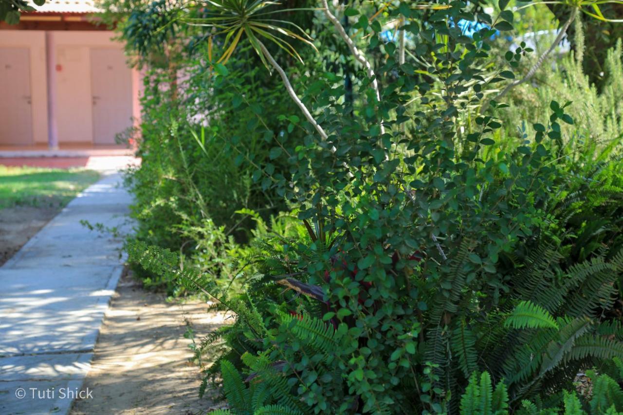 Mandara - Country Lodging Urim Экстерьер фото